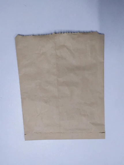 Brown Paper Carry Bags